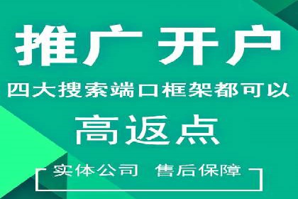 百度竞价排名策略解析：一家公司的广告投放策略全揭秘